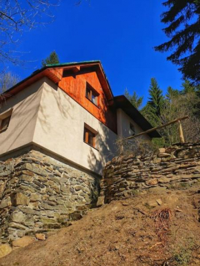 Penzion Pichberg Horská chata, Rokytnice Nad Jizerou